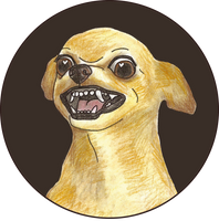 icon puppy sticker angry chihuahua